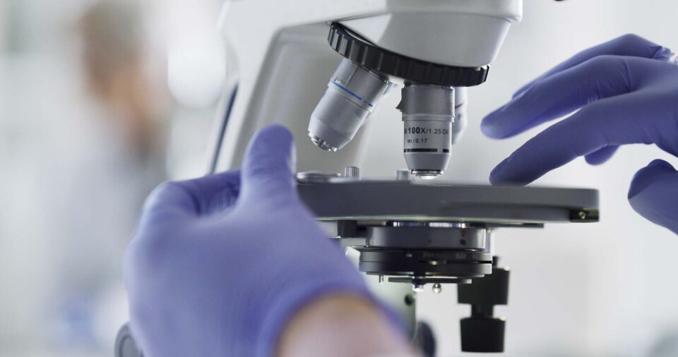 What is the Mohs Procedure?